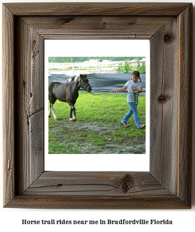 horse trail rides near me in Bradfordville, Florida